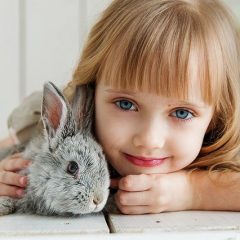 Dents de lapin : voici ce que vous devez savoir
