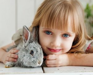 Dents de lapin : voici ce que vous devez savoir