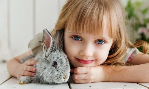 Dents de lapin : voici ce que vous devez savoir