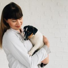 Comment bien soigner son chien en cas de maladie ?