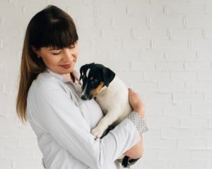 Comment bien soigner son chien en cas de maladie ?