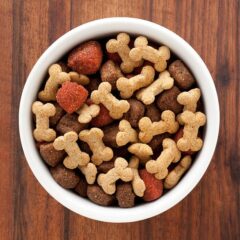 Quelles croquettes pour un chien en surpoids ?